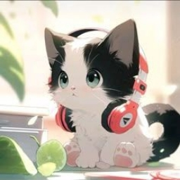 Avatar — Miau320